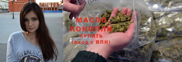 хмурый Болотное