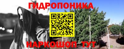 стафф Пыть-Ях