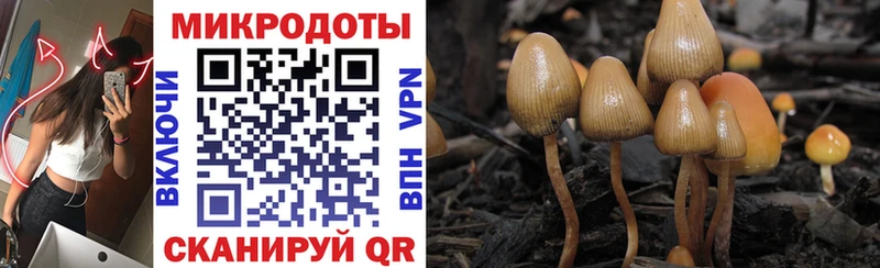 Псилоцибиновые грибы прущие грибы закладки hydra зеркало Усть-Джегута